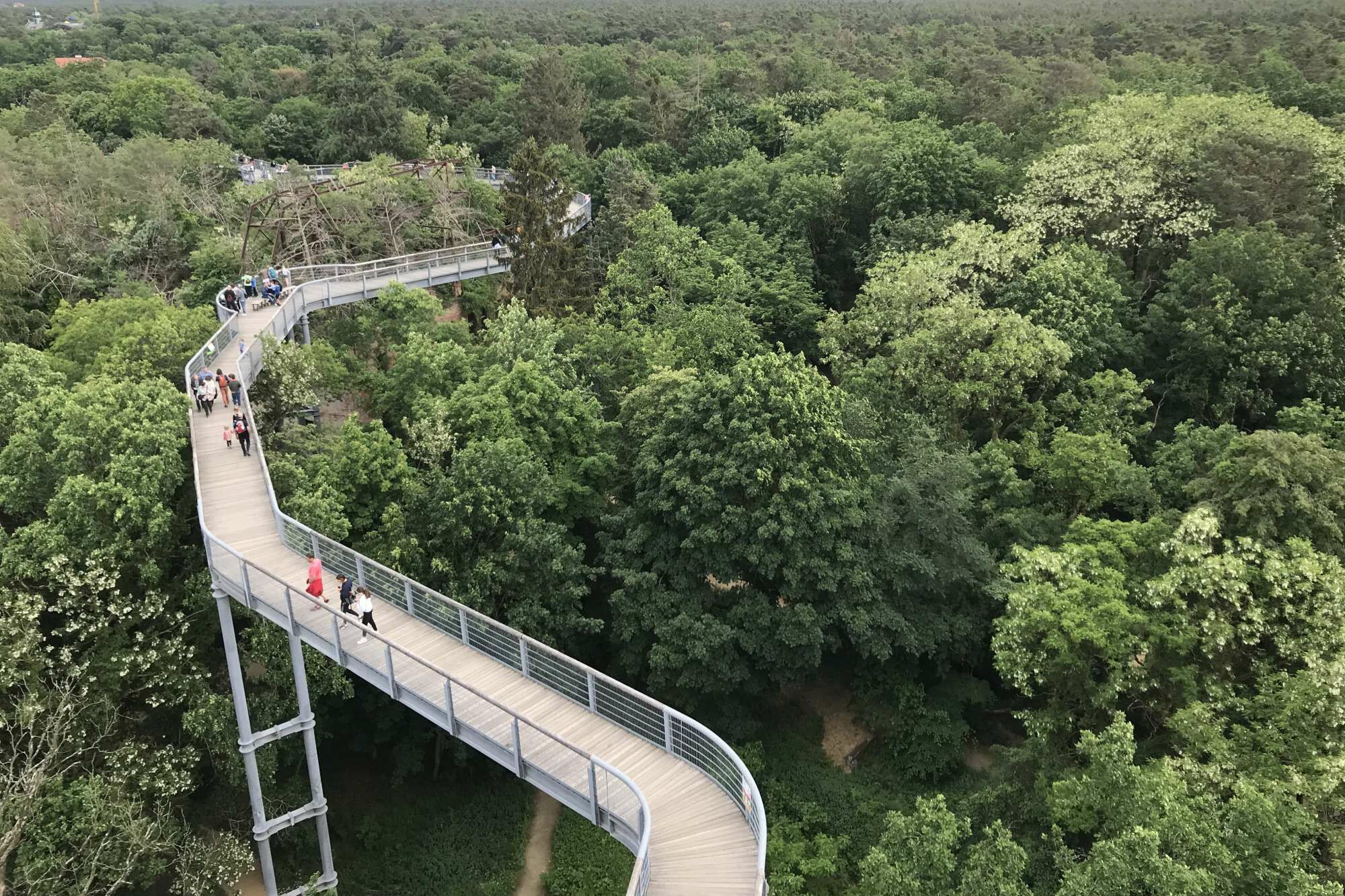 Baumkronenpfad Beelitz-Heilstätten von Vollack